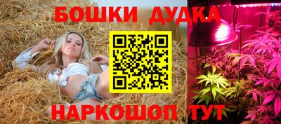 spice Будённовск