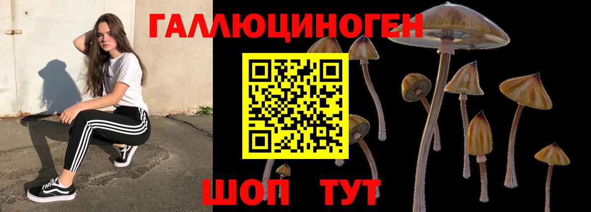 Галлюциногенные грибы прущие грибы  Вход с VPN  Черняховск  Псилоцибиновые грибы мицелий 
